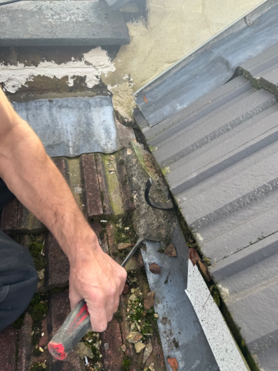 Handyman: Image 1